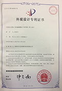 Patent for G2000