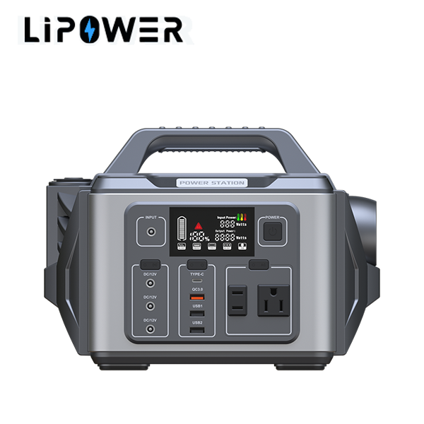 M306--300W Power Station